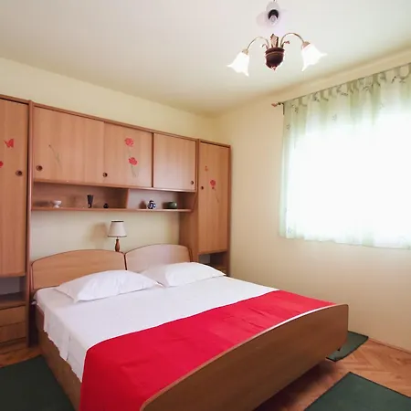 Mimoza 4 *